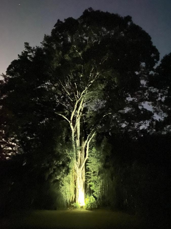 Recanto da Floresta - Casa de campo em Secretário Petropolis (Rio de Janeiro) Exterior foto