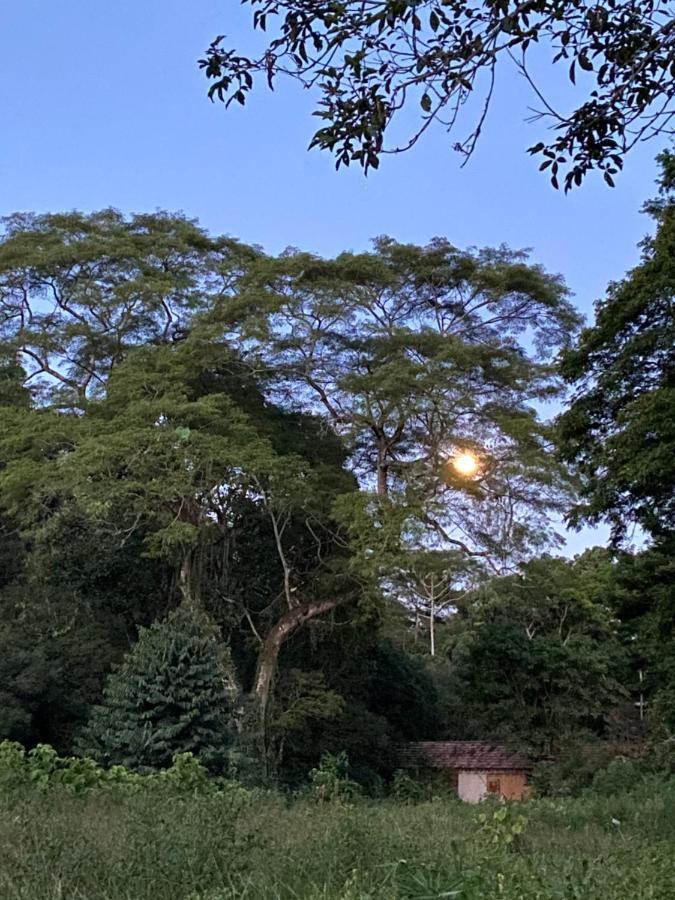 Recanto da Floresta - Casa de campo em Secretário Petropolis (Rio de Janeiro) Exterior foto